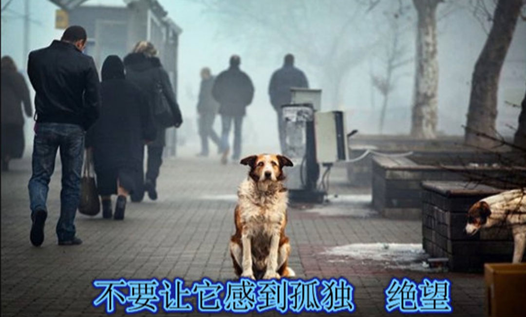 丽水丽水爱影圈微博微信转发案例